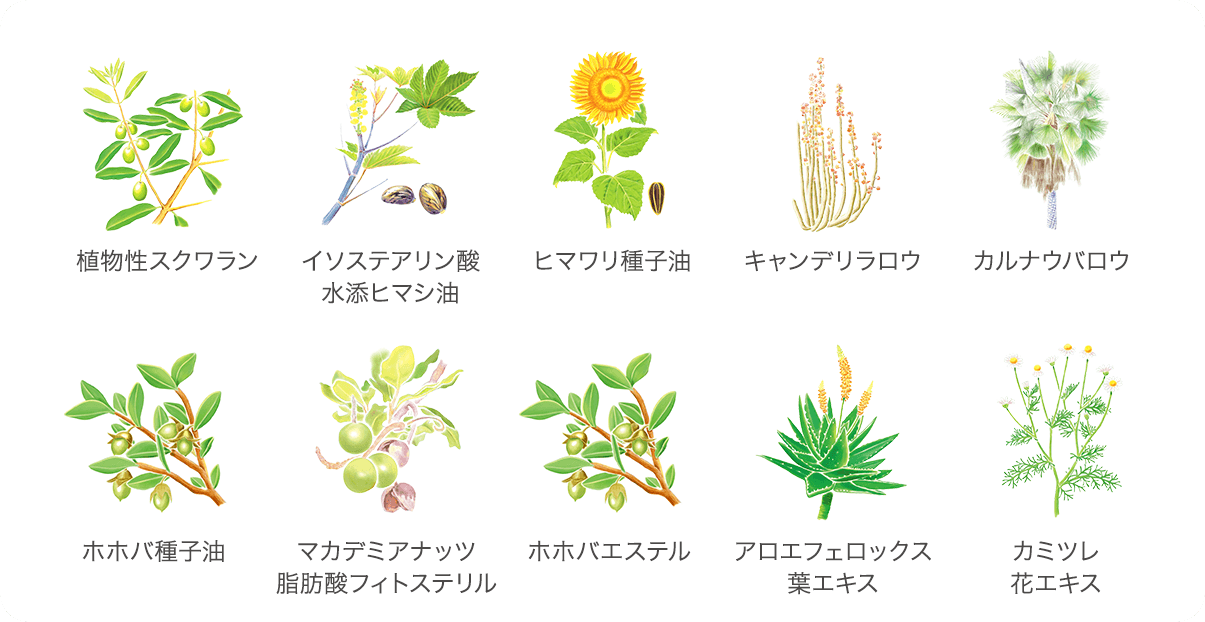 植物性セラミドの保湿力比較