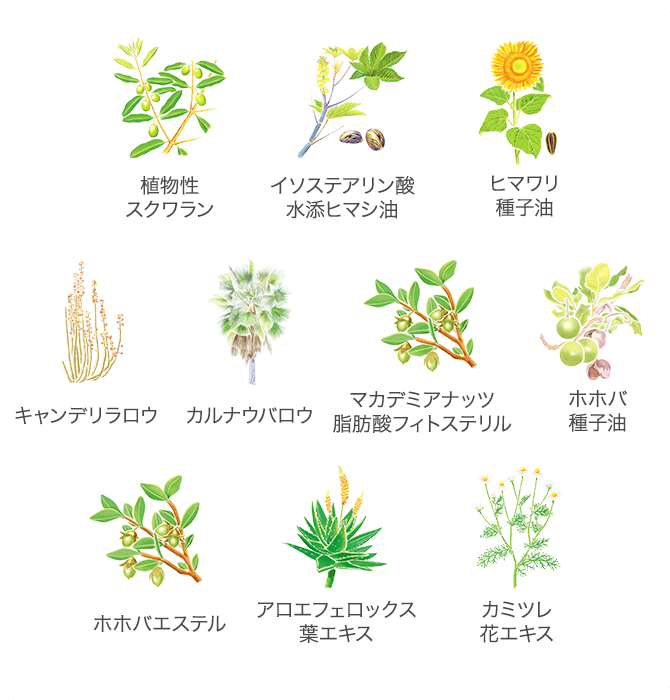 植物性セラミドの保湿力比較