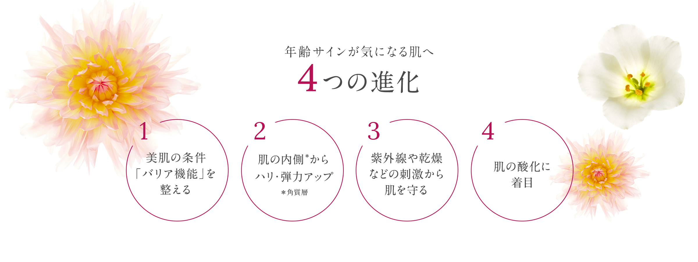 年齢サインが気になる肌へ４つの進化