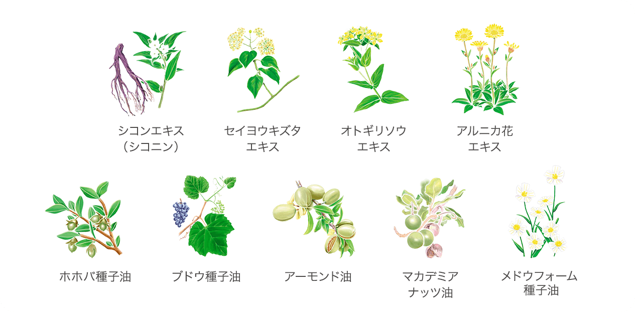 植物性セラミドの保湿力比較