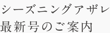 シーズニングアザレ最新号のご案内